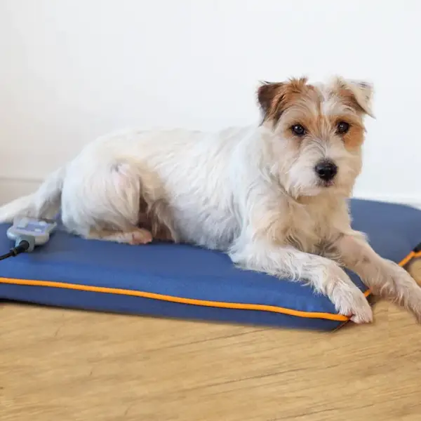 Canissage Pulse Dog Bed – Bild 2